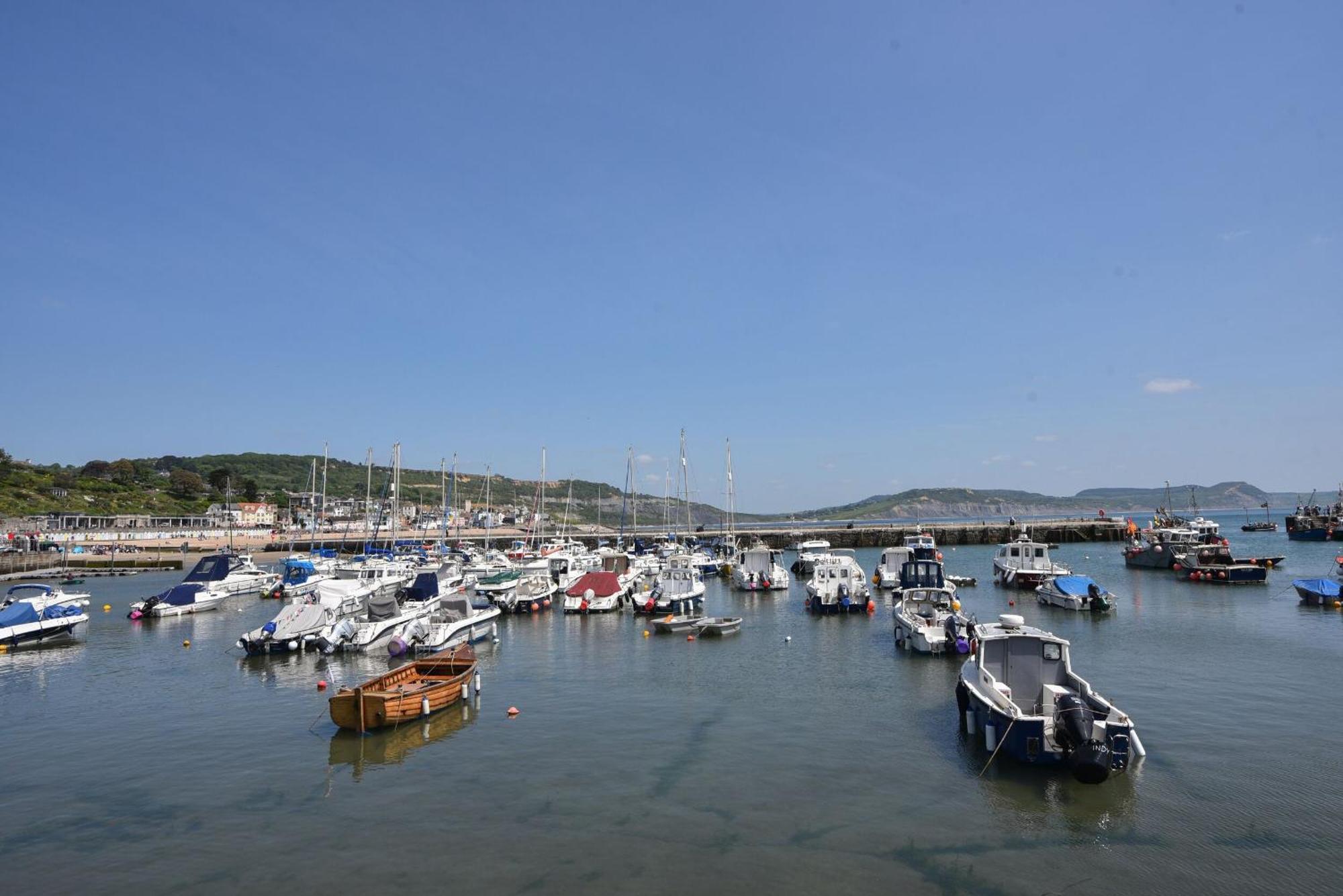 Vila Ronita Lyme Regis Exteriér fotografie